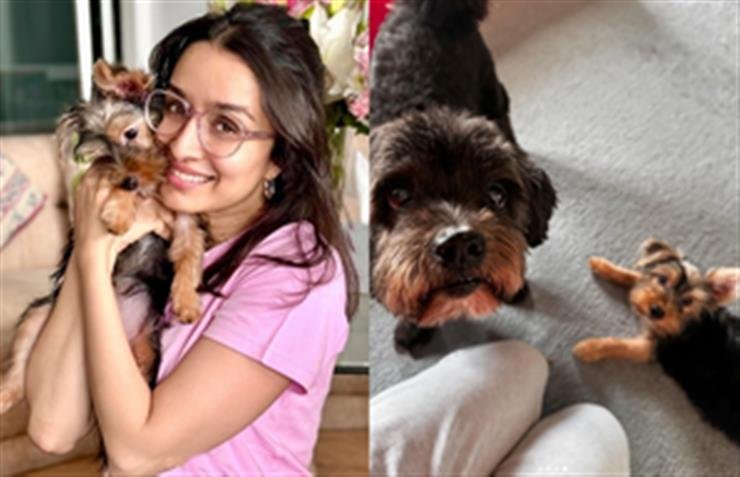 Shraddha Kapoor reveals her pet dog's favourite song