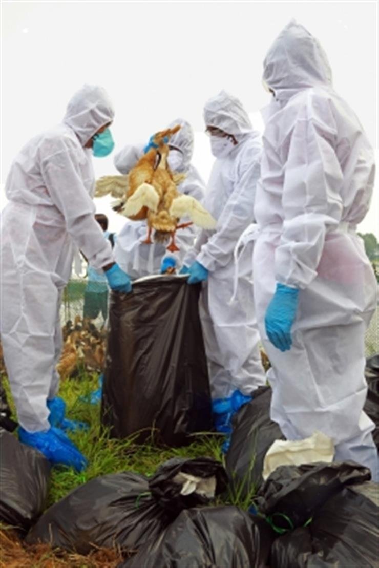 First human bird flu death in US reported