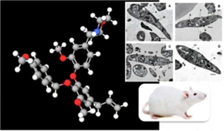 Study suggest Brazilian plant compound may be key to treating kala-azar