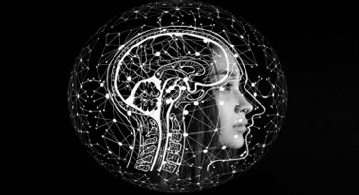 New stem cell therapy offers hope for brain recovery after stroke