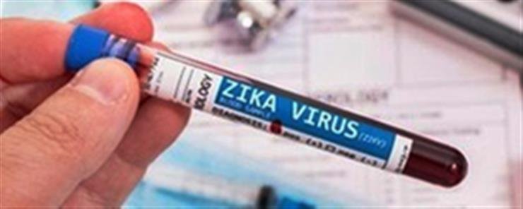 India reported 151 Zika virus disease in 2024, highest in Maharashtra: WHO