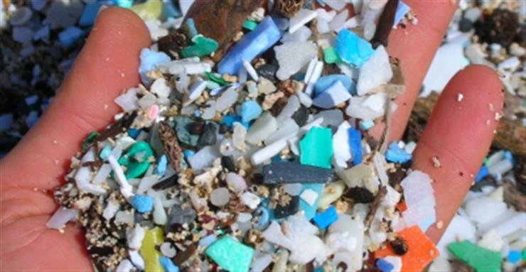 US doctors find high plastic concentration in placentae of premature babies