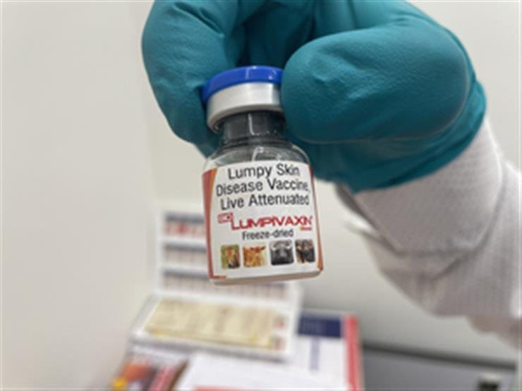 Lumpy skin disease: CDSCO grants license to India's 1st vaccine for cattle, buffalo