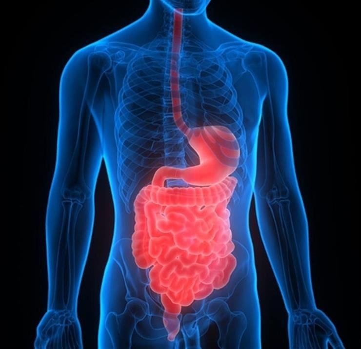 Common antibiotic shows hope for inflammatory bowel disease