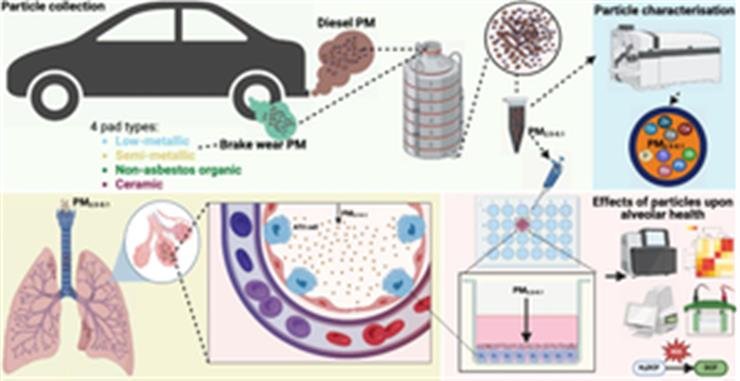 Pollution from car brake-wear more harmful for lungs than diesel exhaust: Study
