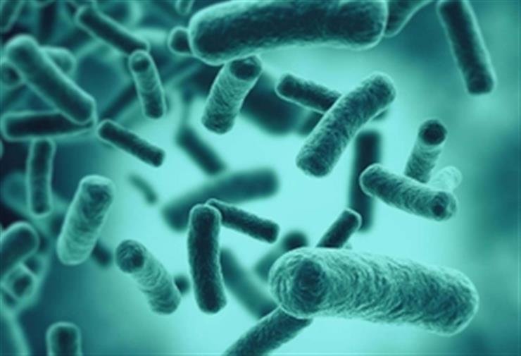 Swimming in lakes with still waters can cause bacterial pneumonia: Study