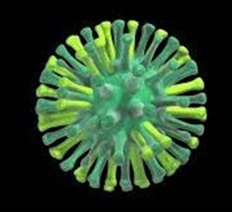 Toddler dies of H5N1 virus in Cambodia