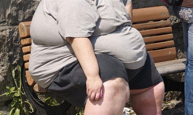 How brain plays central role in development of obesity