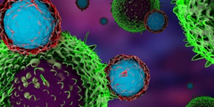 Scientists focus on a new antibody to fight treatment-resistant cancers