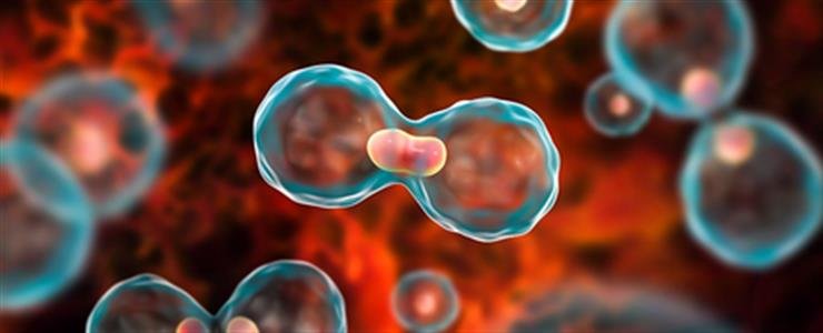 Residual cancer may hide behind clear scans, linked to worse outcomes: Study