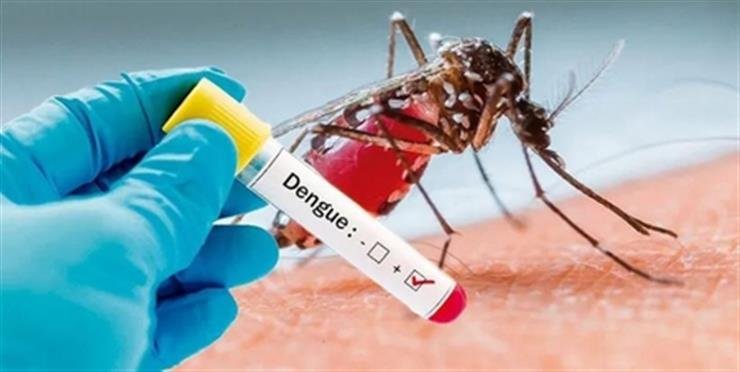 Bangladesh records 13 more dengue cases