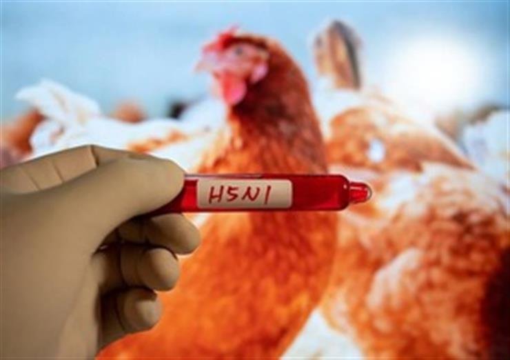 Mexico reports first human death from H5N1 bird flu