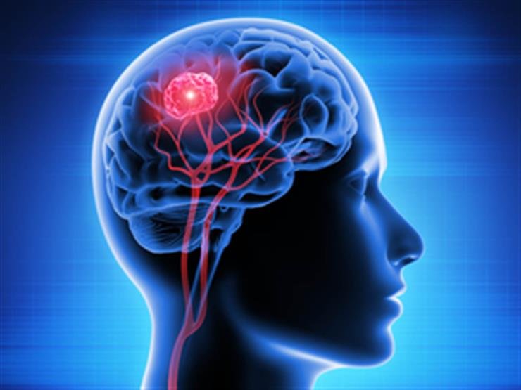 Key enzyme to fight deadly brain cancer identified