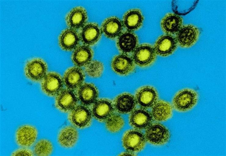 US launches next-generation universal vaccine platform for pandemic-prone viruses