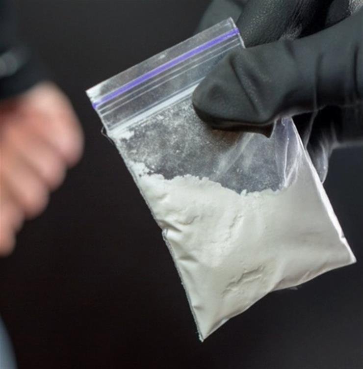 Chinese nationals accused of smuggling agroterrorism pathogen into US