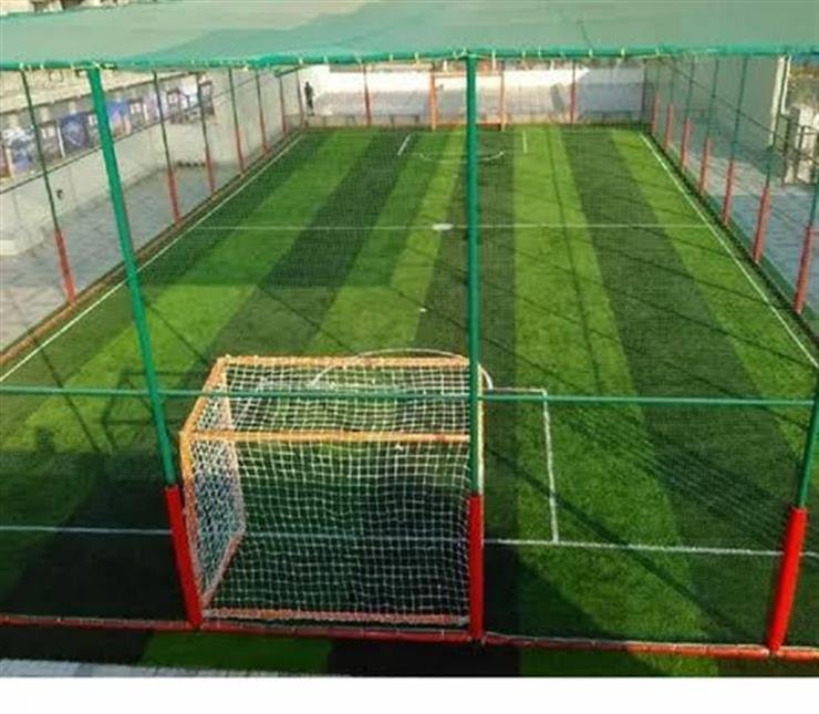 TN to set up Futsal, box cricket turfs in districts to boost grassroots sports