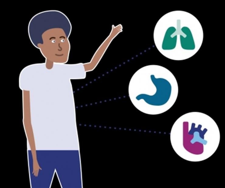 Policy reforms key to boost global equity in organ transplantation: Lancet