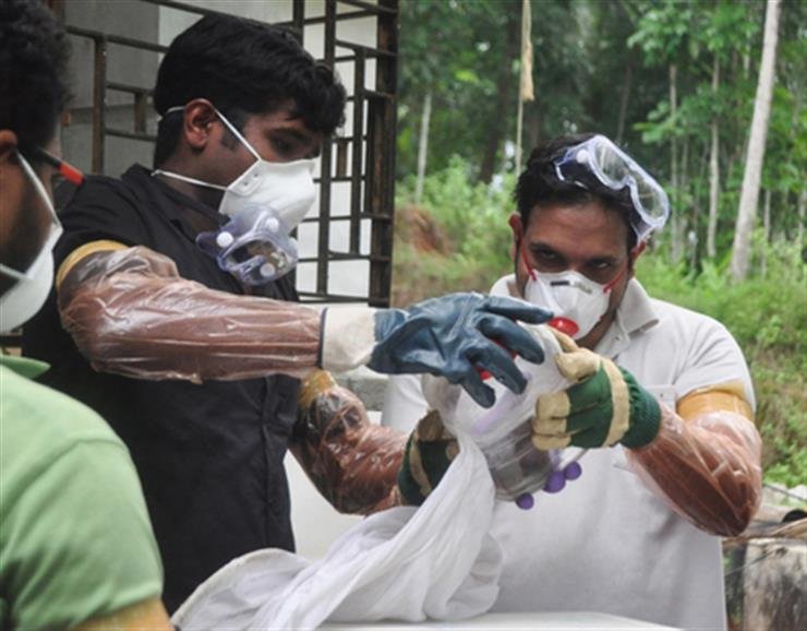 NIMR teams collect blood, swab samples from bats at Alipore Zoological Garden to check for Nipah virus
