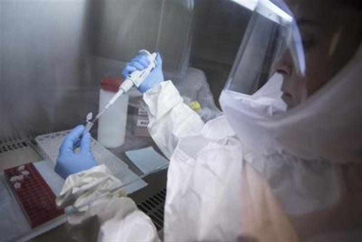 Chinese scientists identify key Ebola virus mutation